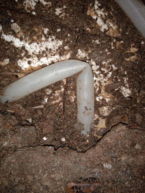 勉县堵点精准查找